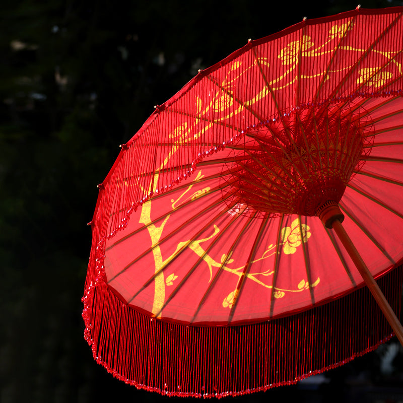 Handmade Chinese Oil Paper Umbrella with Tassel Fringe – Traditional Heritage Parasol